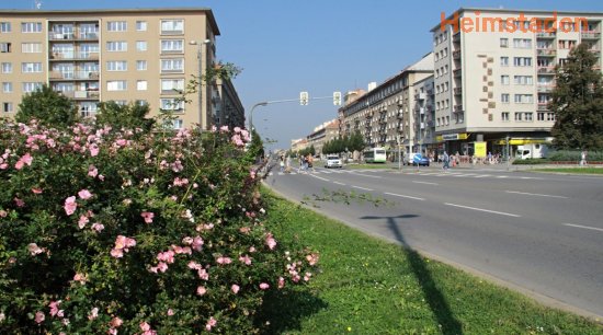 Pronájem kanceláře, 75m<sup>2</sup>, Národní třída, Havířov
